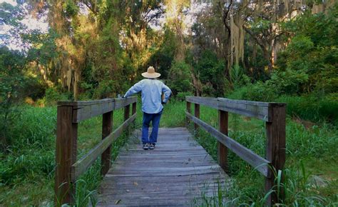 Lake Alfred, Florida | Lake, Florida, Boardwalk