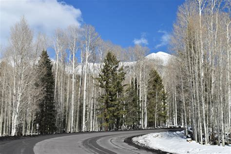 Arizona Snowbowl Road - Flagstaff AZ - Living New Deal