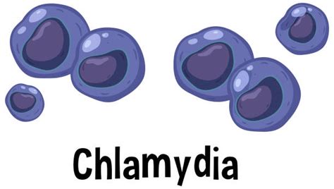 40+ Chlamydia Cartoon Stock Illustrations, Royalty-Free Vector Graphics ...