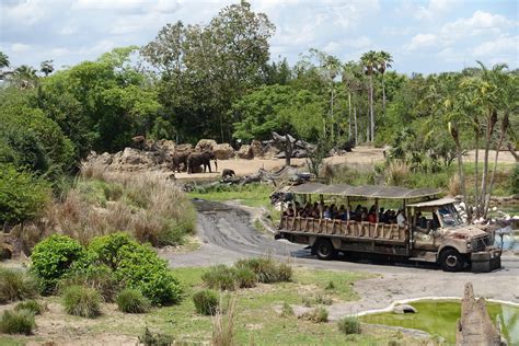 Jambo! Kilimanjaro Safaris is nearly 110 acres in size. This means you can fit the entirety of ...