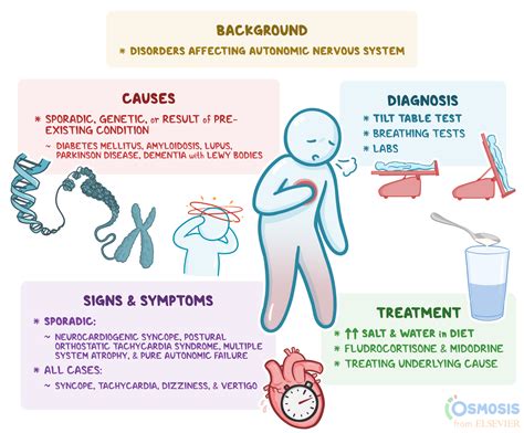 Dysautonomia: What Is It, Causes, Signs, Symptoms, Diagnosis, and More ...