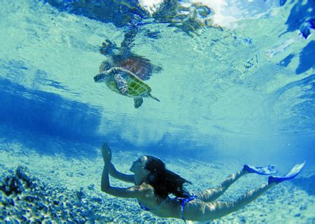 BORA BORA: Bora Bora Snorkeling