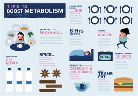 Tips Boost Metabolism Infographic Health Tips Stock Vector (Royalty Free) 302556968 ...