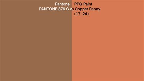 Pantone 876 C vs PPG Paint Copper Penny (17-24) side by side comparison