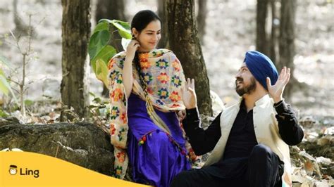 7 Captivating Facts About Punjabi Culture You Didn't Know - ling-app.com