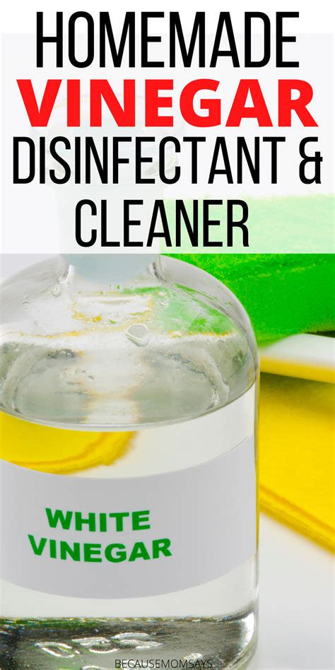 Brilliant uses for vinegar a homemade cleaner recipe – Artofit