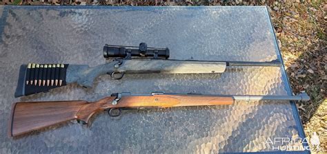 .375 Ruger Rifles | AfricaHunting.com