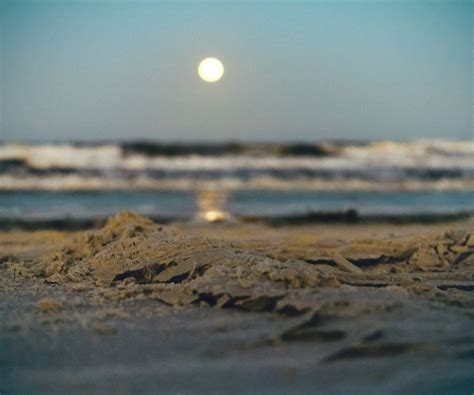 Moonlight Beach by TOMMY FAWCETT on Dribbble