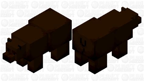 Black Bear Minecraft Mob Skin