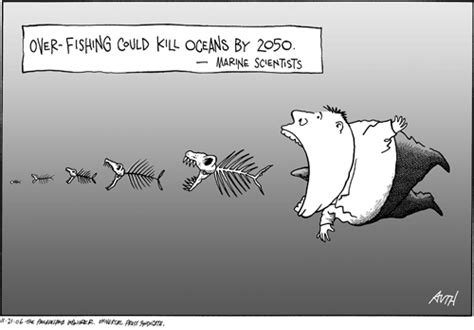 Overfishing: Another Ocean Danger for Animal Conservation Week