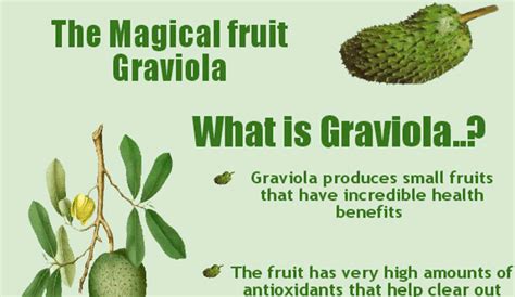 Graviola Side Effects - HRF