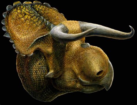 The Ceratopsians: A Multitude of Horns and Frills – Max's Blogo-Saurus