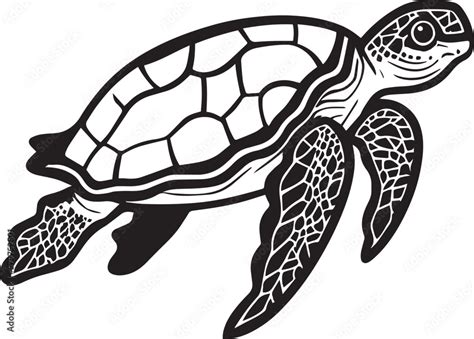 Vector turtle silhouette of a isolated on a white background, Vector ...