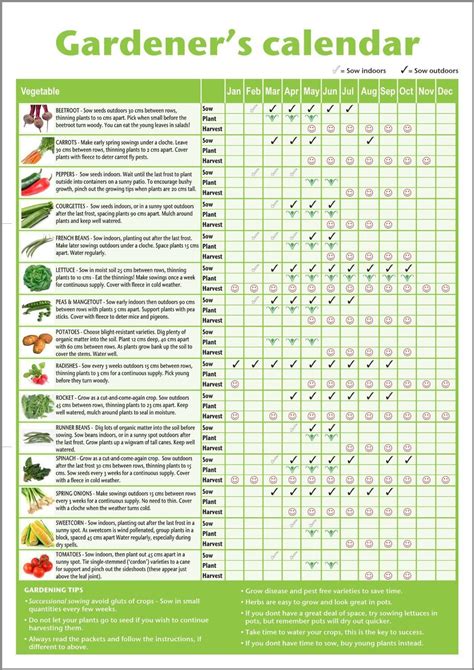 Garden Calendar Planner - Printable And Enjoyable Learning