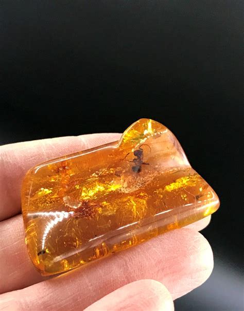 Amber, Rock, Fossil, Natural, Collectible, Mineral, Specimen