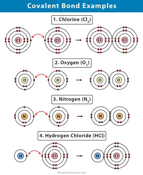 Covalent Bond: Definition, Types, and Examples | Covalent bonding, Teaching chemistry, Chemistry ...