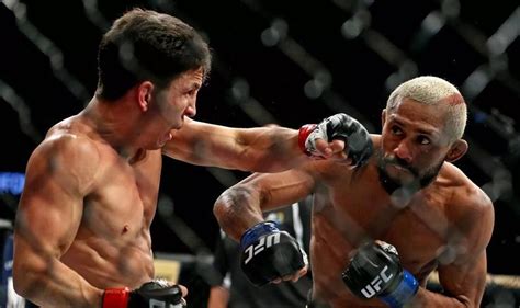 What happens next in the UFC Flyweight division?