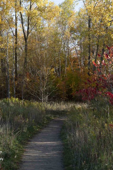 19 of the Best Ontario Hikes - The Planet D