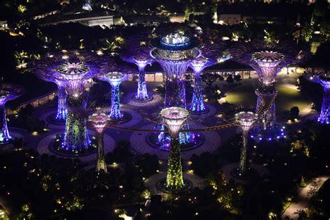 Illuminated Supertrees at Night (1) | Marina Bay | Pictures | Singapore ...