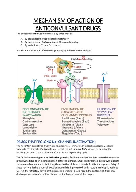 Mechanism OF Action OF Anticonvulsant Drugs - MECHANISM OF ACTION OF ...