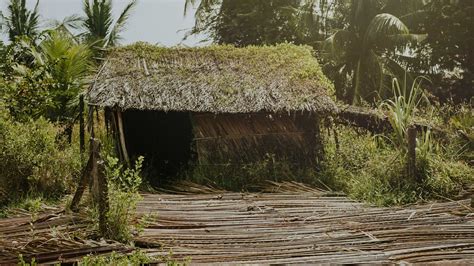 This Thatched Hut - Freedom in Dispassion | kenzie.digital