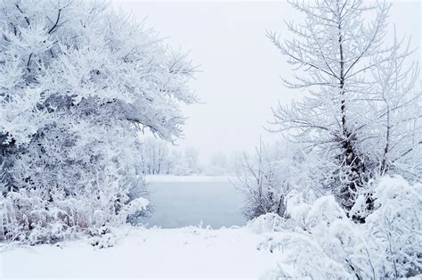 This Winter Free Stock Photo - Public Domain Pictures
