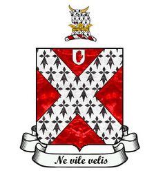 299 Best NEVILLE of Raby images | Coat of arms, Weapon, Plantagenet