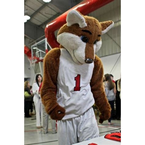 Basketball Sport Fox Costume Mascot Costume