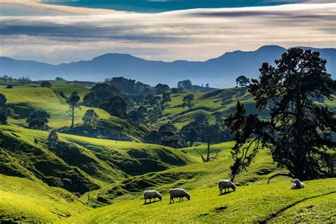 Planning A New Zealand North Island Itinerary | Travel Nation