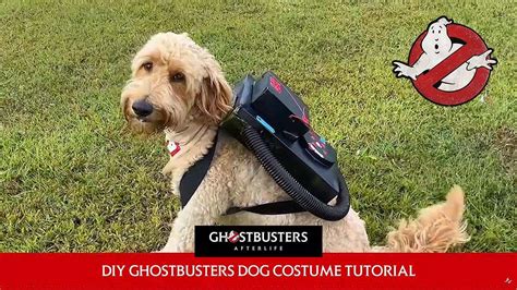 Learn how to make a Ghostbusters Halloween dog costume in new DIY video - Ghostbusters News