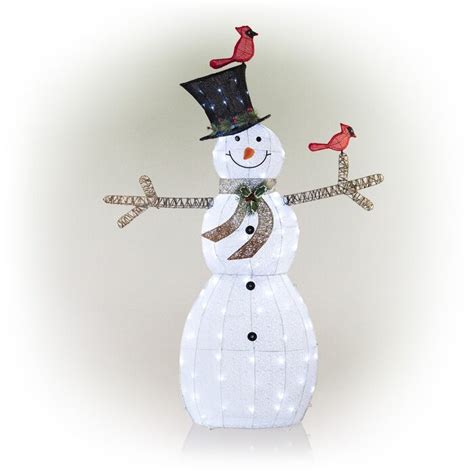 The Holiday Aisle® Snowman Lighted Display & Reviews | Wayfair