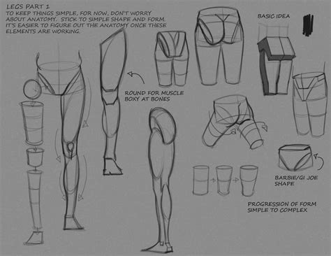 Leg anatomy, Anatomy drawing, Drawing tutorial