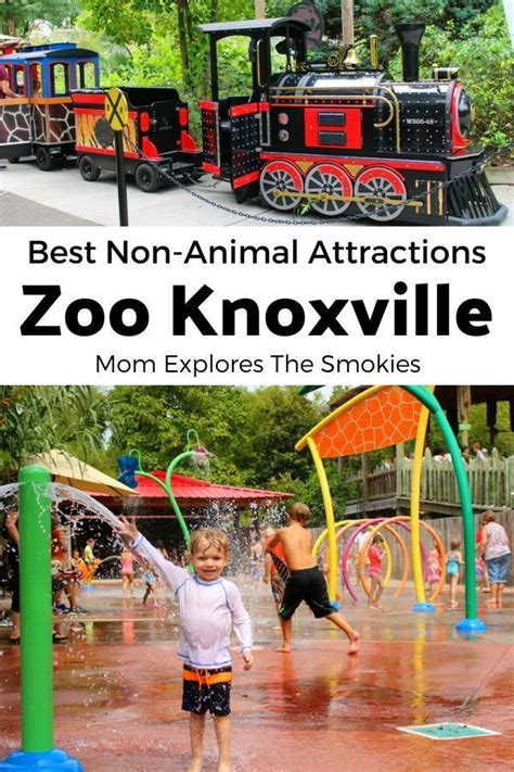 Free and Discount Knoxville Zoo Tickets | East TN Family Fun | Knoxville zoo, Zoo tickets ...