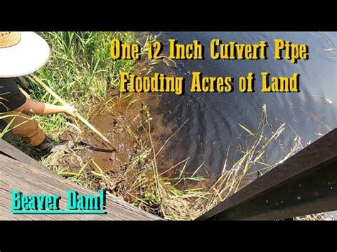 Unclogging A Culvert Pipe Responsible For Multiple Properties Flooding! - YouTube