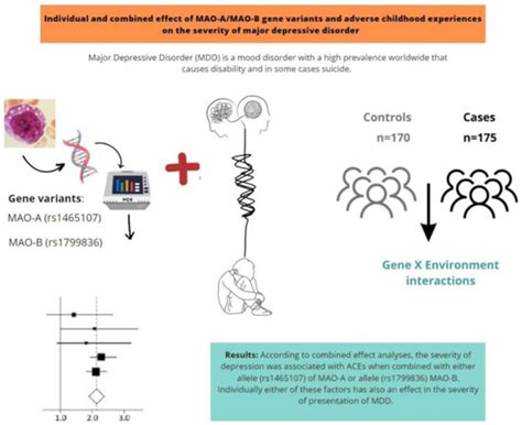 Behavioral Sciences | Free Full-Text | Individual and Combined Effect ...