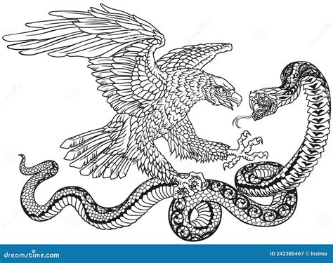 Eagle and Snake Fighting. Black and White Vector Illustration Stock ...