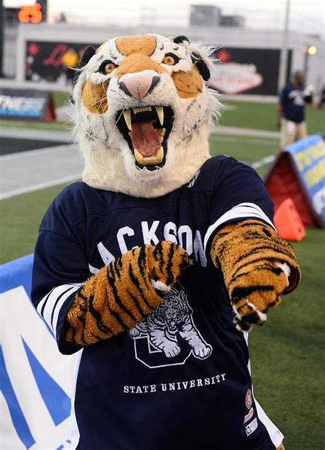 College Mascot Gets Unsportsmanlike Conduct Call Against It | iHeart