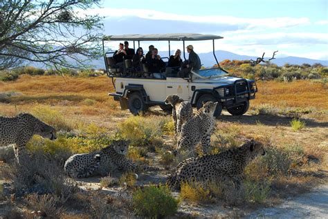 Cape Town Safaris | Big 5 Game Reserves near Cape Town