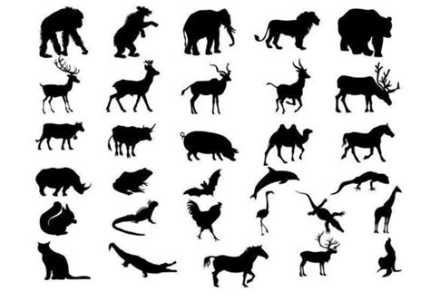 Animal Silhouettes Vector Art, Icons, and Graphics for Free Download