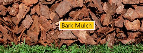 Types of Mulch | What is Mulch? | Mulching Guide – Chainsaw Journal