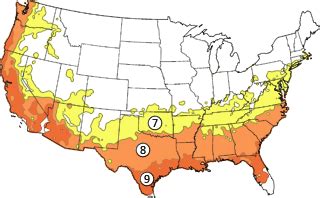 Arizona Plant Zone Chart - Arizona Living Landscape & Design