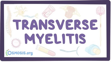 Transverse myelitis: Video, Causes, & Meaning | Osmosis