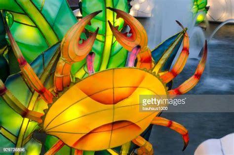 Elephant Water Fountain Photos and Premium High Res Pictures - Getty Images