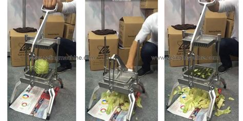 Manual Fruit Vegetable Cutter – Shijiazhuang Zeling Technology Co., Ltd