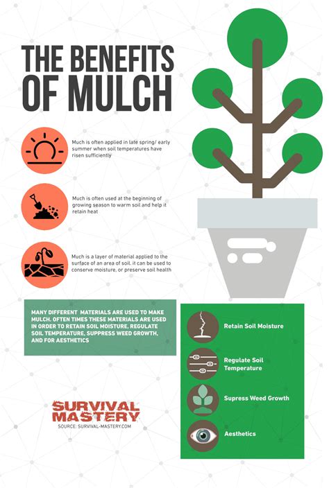 How to Make Mulch: Survival Farming Techniques