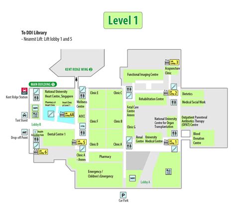 Department of Diagnostic Radiology