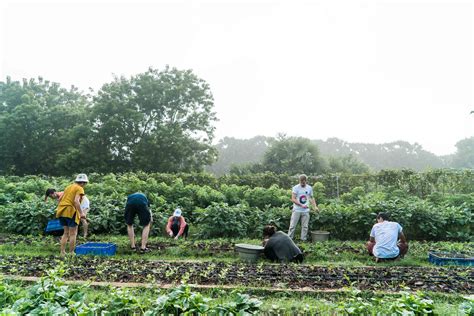 Farming | Auroville