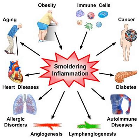 Heart Inflammation Treatment - The Role Of Inflammation And Cell Death In The Pathogenesis ...