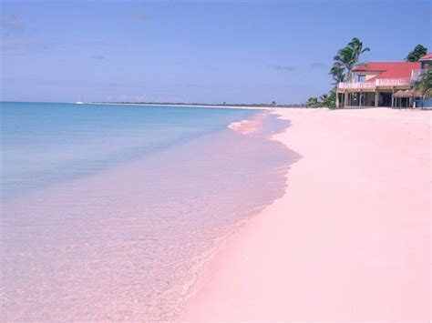 The Unique Pink Sands Beach in Harbour Island, the Bahamas