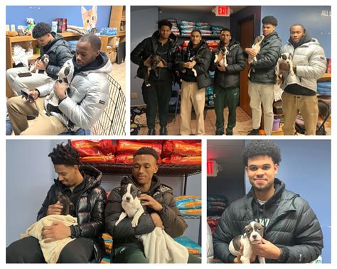 MSU basketball players surprise shelter, visit puppies named after them ...